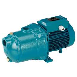 MGP 204